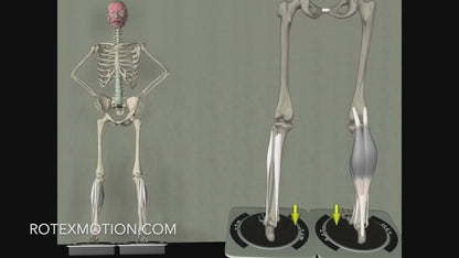 ROTEXMotion Total Package - Complete Golf Fitness Training System