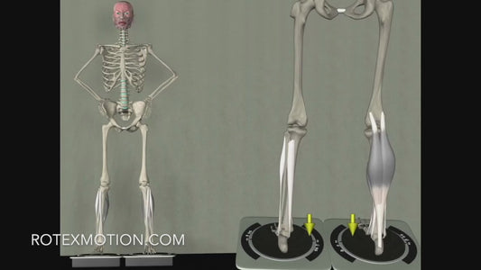 ROTEXMotion Total Package - Complete Golf Fitness Training System