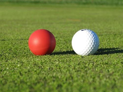 [Best Quality Golf Equipment & Technology Online]-Sunshine Plus